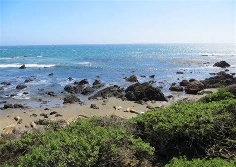 facebook piedras blancas|piedras blancas rookery.